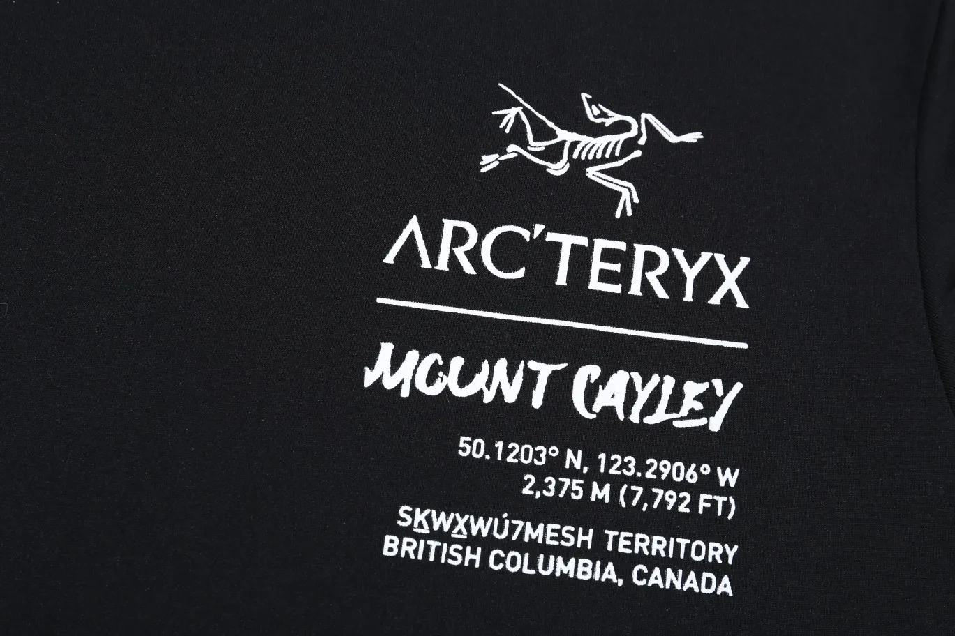 Arcteryx Cormac Series Logo LS T Same Style ✅ Size：XS S M L Black White